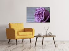 Laden Sie das Bild in den Galerie-Viewer, Leinwandbild Rose in Lila XXL