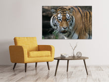 Laden Sie das Bild in den Galerie-Viewer, Leinwandbild XL Tiger