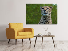 Laden Sie das Bild in den Galerie-Viewer, Leinwandbild Wachsamer Gepard