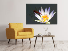 Laden Sie das Bild in den Galerie-Viewer, Leinwandbild Die Libelle auf der Blüte
