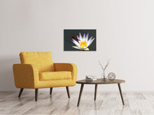 Laden Sie das Bild in den Galerie-Viewer, Leinwandbild Die Libelle auf der Blüte