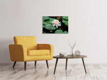 Laden Sie das Bild in den Galerie-Viewer, Leinwandbild Die stolze Seerose
