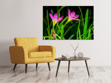 Laden Sie das Bild in den Galerie-Viewer, Leinwandbild Blüten in der Natur