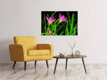 Laden Sie das Bild in den Galerie-Viewer, Leinwandbild Blüten in der Natur