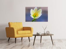 Laden Sie das Bild in den Galerie-Viewer, Leinwandbild Close up gelbe Blüte