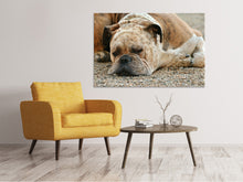Laden Sie das Bild in den Galerie-Viewer, Leinwandbild Müder Boxer