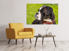 Laden Sie das Bild in den Galerie-Viewer, Leinwandbild Aufmerksamer Boxer