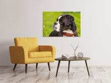 Laden Sie das Bild in den Galerie-Viewer, Leinwandbild Aufmerksamer Boxer