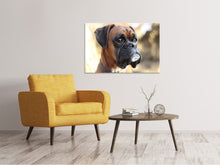 Laden Sie das Bild in den Galerie-Viewer, Leinwandbild Der Boxer Blick
