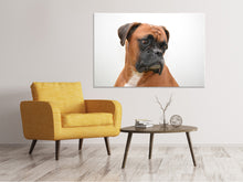 Laden Sie das Bild in den Galerie-Viewer, Leinwandbild Typisch Boxer