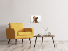 Laden Sie das Bild in den Galerie-Viewer, Leinwandbild Typisch Boxer