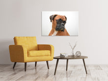 Laden Sie das Bild in den Galerie-Viewer, Leinwandbild Typisch Boxer
