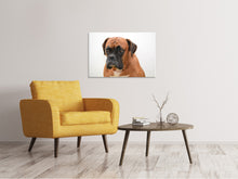 Laden Sie das Bild in den Galerie-Viewer, Leinwandbild Der Boxer