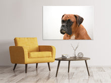 Laden Sie das Bild in den Galerie-Viewer, Leinwandbild Boxer - der Aufpasser