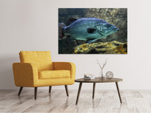 Laden Sie das Bild in den Galerie-Viewer, Leinwandbild Grosser Fisch