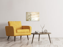 Laden Sie das Bild in den Galerie-Viewer, Leinwandbild Orchidee im Glas