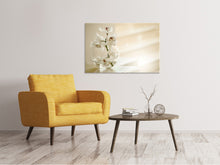Laden Sie das Bild in den Galerie-Viewer, Leinwandbild Orchidee im Glas
