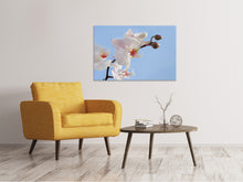 Laden Sie das Bild in den Galerie-Viewer, Leinwandbild Orchidee im Himmel