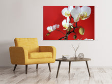 Laden Sie das Bild in den Galerie-Viewer, Leinwandbild Weisse Orchideen auf roter Wand