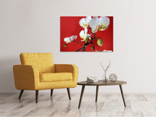 Laden Sie das Bild in den Galerie-Viewer, Leinwandbild Weisse Orchideen auf roter Wand