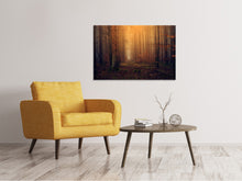 Laden Sie das Bild in den Galerie-Viewer, Leinwandbild Geheimnisvoller Wald