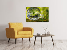 Laden Sie das Bild in den Galerie-Viewer, Leinwandbild Natur Kugel