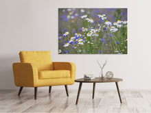 Laden Sie das Bild in den Galerie-Viewer, Leinwandbild Wilde Blumenwiese