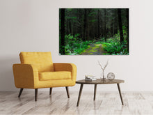Laden Sie das Bild in den Galerie-Viewer, Leinwandbild Wilder Wald