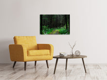 Laden Sie das Bild in den Galerie-Viewer, Leinwandbild Wilder Wald