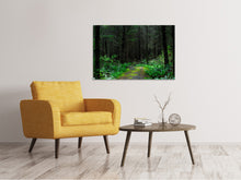 Laden Sie das Bild in den Galerie-Viewer, Leinwandbild Wilder Wald