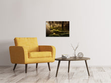 Laden Sie das Bild in den Galerie-Viewer, Leinwandbild Das Moos