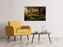 Laden Sie das Bild in den Galerie-Viewer, Leinwandbild Das Moos