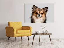Laden Sie das Bild in den Galerie-Viewer, Leinwandbild Süsser Chihuahua