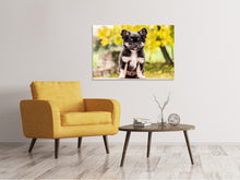 Laden Sie das Bild in den Galerie-Viewer, Leinwandbild Niedliche Chihuahua Welpe