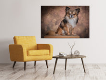 Laden Sie das Bild in den Galerie-Viewer, Leinwandbild Chihuahua Portrait