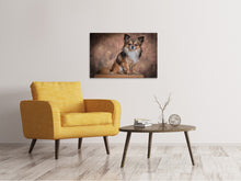 Laden Sie das Bild in den Galerie-Viewer, Leinwandbild Chihuahua Portrait
