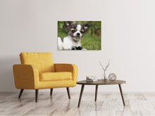 Laden Sie das Bild in den Galerie-Viewer, Leinwandbild Chihuahua zum Verlieben