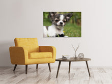 Laden Sie das Bild in den Galerie-Viewer, Leinwandbild Chihuahua zum Verlieben
