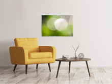 Laden Sie das Bild in den Galerie-Viewer, Leinwandbild Spiegelungen Kugeln
