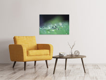 Laden Sie das Bild in den Galerie-Viewer, Leinwandbild Wassertropfen in XXL