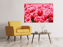 Laden Sie das Bild in den Galerie-Viewer, Leinwandbild Fröhliches Tulpenfeld