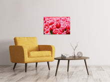 Laden Sie das Bild in den Galerie-Viewer, Leinwandbild Fröhliches Tulpenfeld