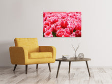 Laden Sie das Bild in den Galerie-Viewer, Leinwandbild Fröhliches Tulpenfeld