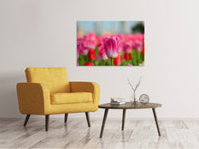 Laden Sie das Bild in den Galerie-Viewer, Leinwandbild Tulpenfeld in rosa-rot
