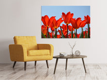 Laden Sie das Bild in den Galerie-Viewer, Leinwandbild Rote Tulpen XL