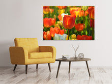 Laden Sie das Bild in den Galerie-Viewer, Leinwandbild Close up Tulpenfeld