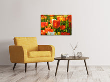 Laden Sie das Bild in den Galerie-Viewer, Leinwandbild Close up Tulpenfeld
