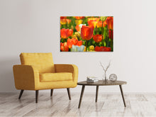 Laden Sie das Bild in den Galerie-Viewer, Leinwandbild Close up Tulpenfeld