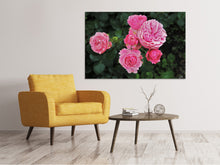 Laden Sie das Bild in den Galerie-Viewer, Leinwandbild Die wilden Rosen in pink
