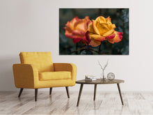 Laden Sie das Bild in den Galerie-Viewer, Leinwandbild Die Rose im Garten